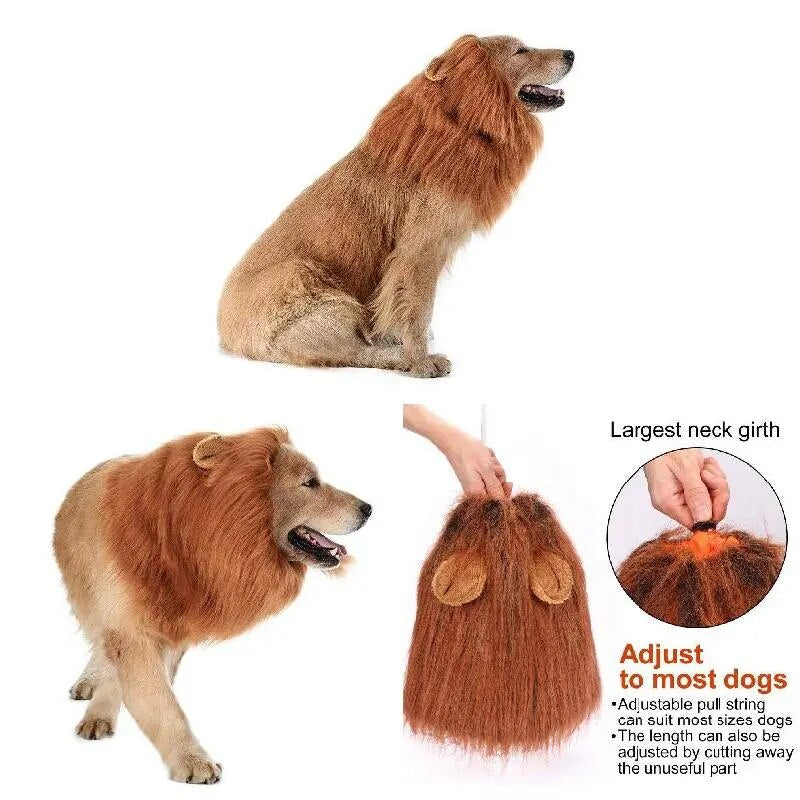 Lion Costume - Chocodogger