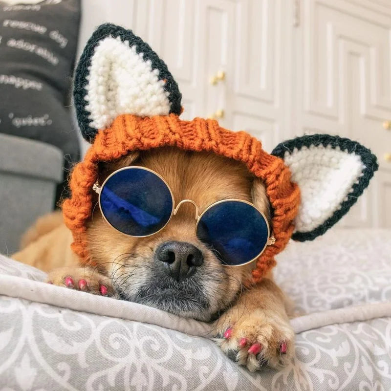 Knitted Wild Animal Hat