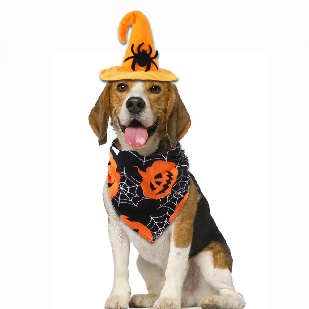 Pet Halloween Hat - Chocodogger