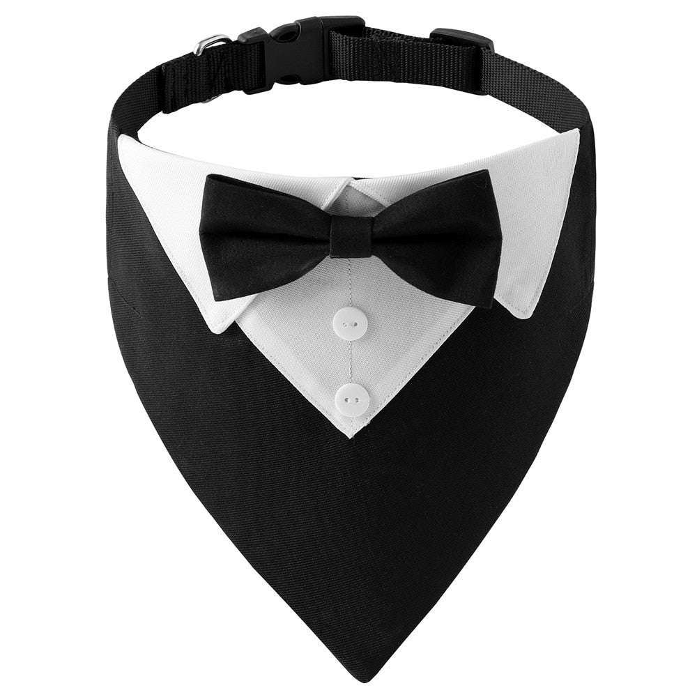 Bow Tie - Chocodogger Black / S