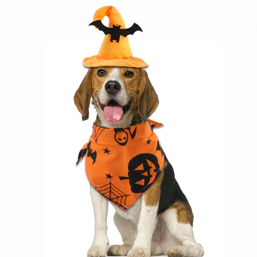Pet Halloween Hat - Chocodogger