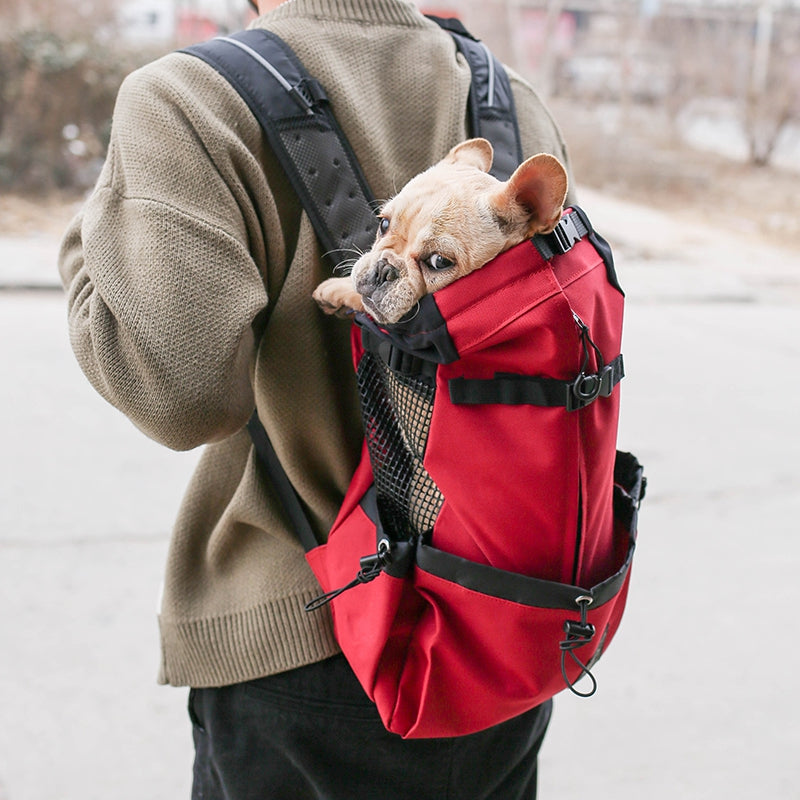 Travel Doggo Backpack - Chocodogger