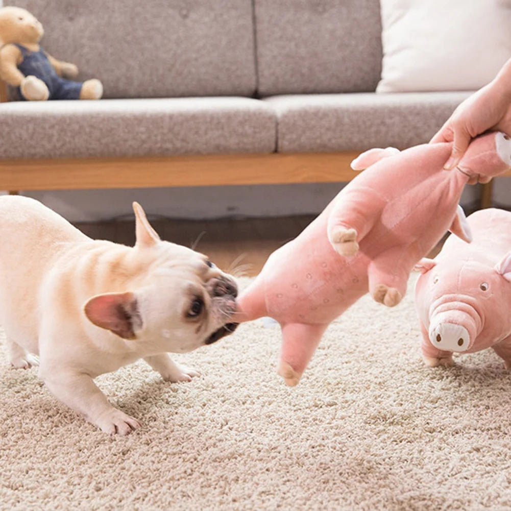 Piggy Toy