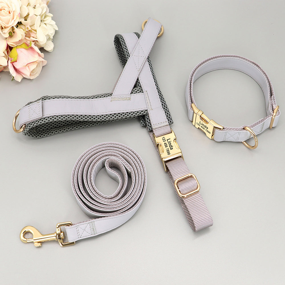 TailoredWalk™ - Custom Walking Set - Chocodogger Gray / XS