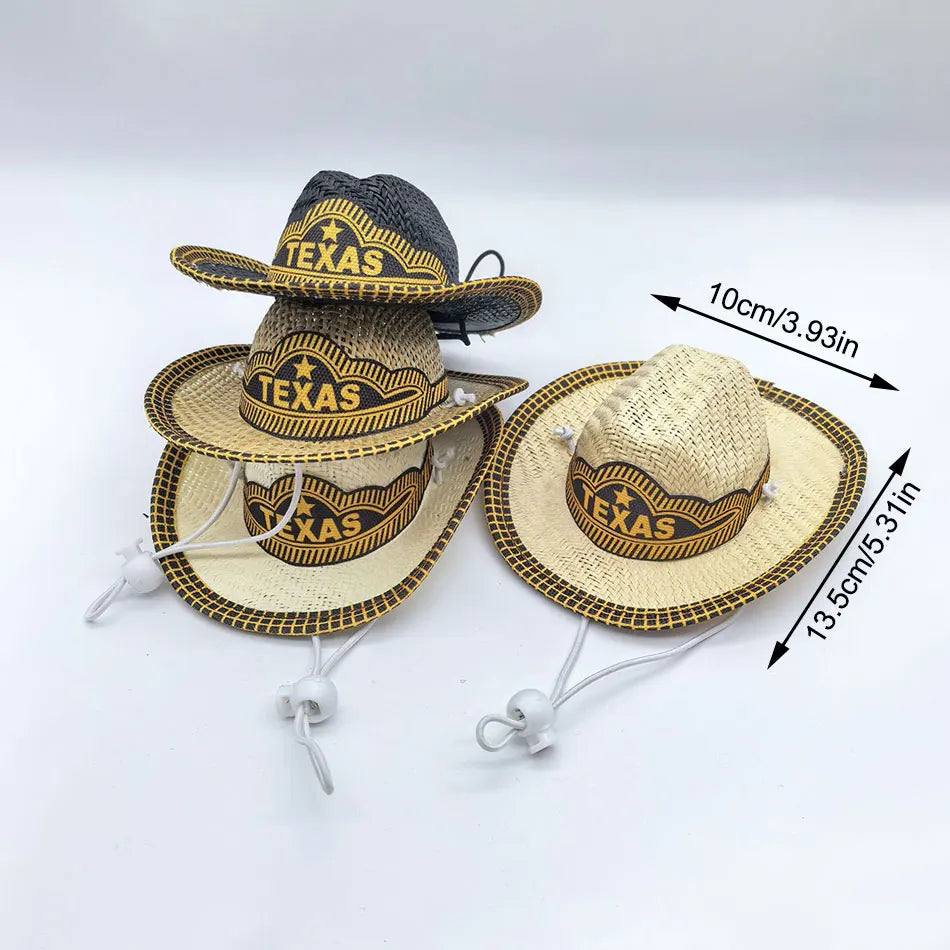 Mini Texas Hat