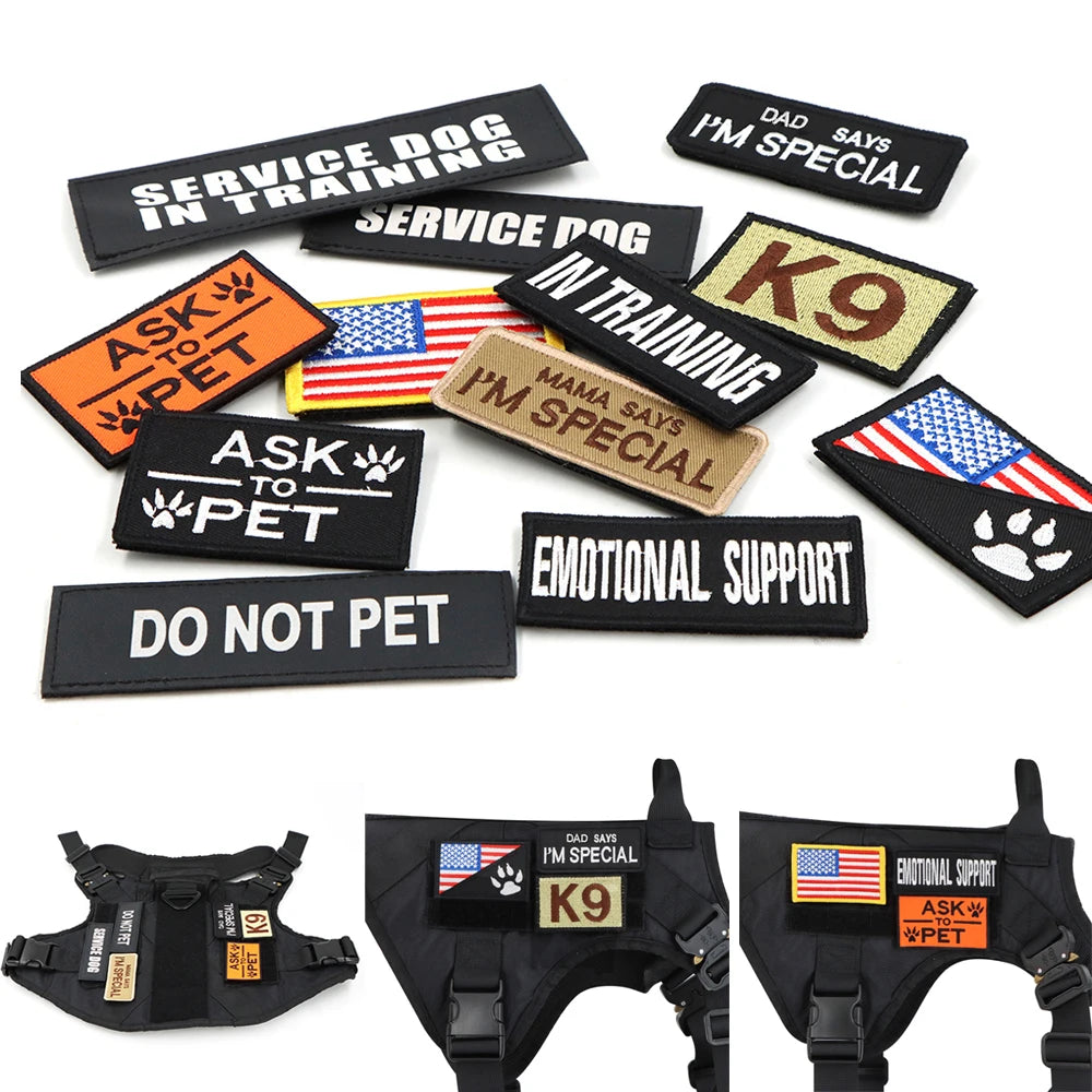 Harness Patches