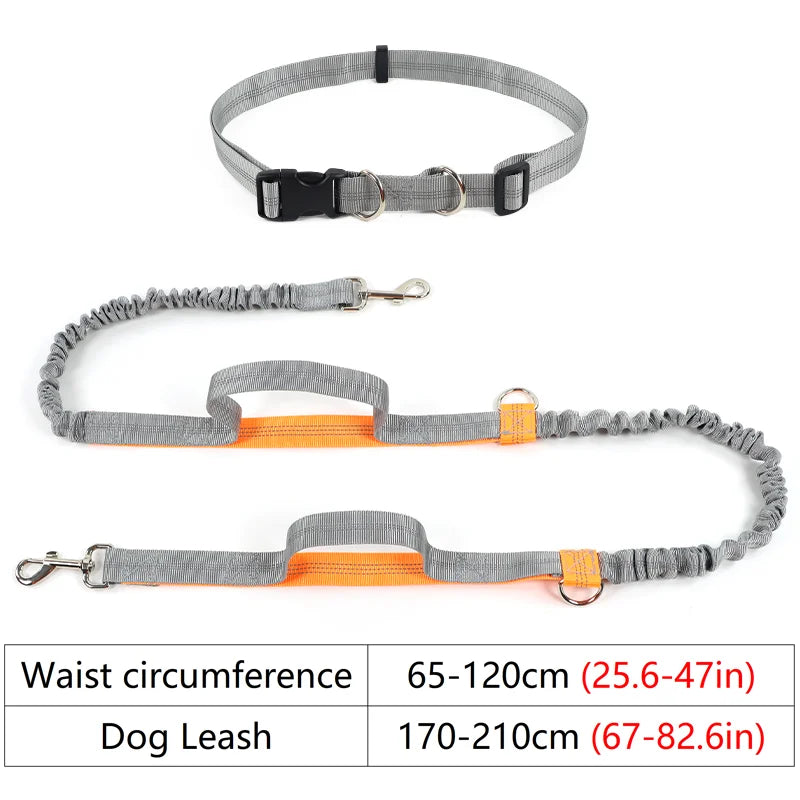 FreeRun Hands-Free Dog Leash