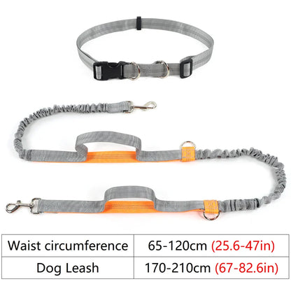 FreeRun Hands-Free Dog Leash