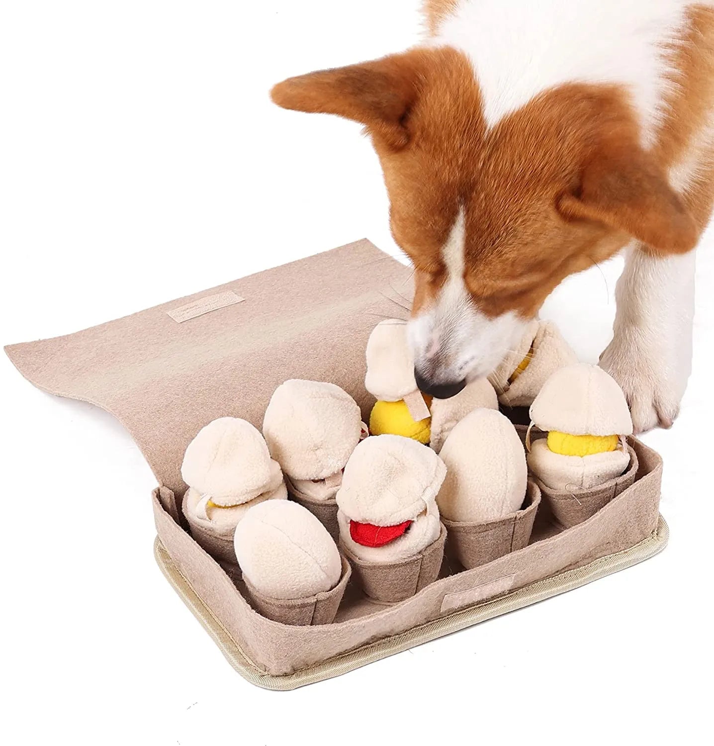 Egg Box Snuffle Toy