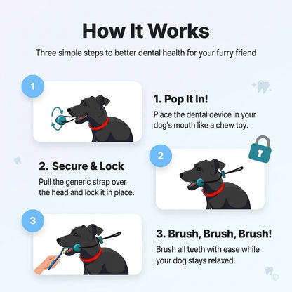 Dog Toothbrushing Aid with Textured Bite Bar