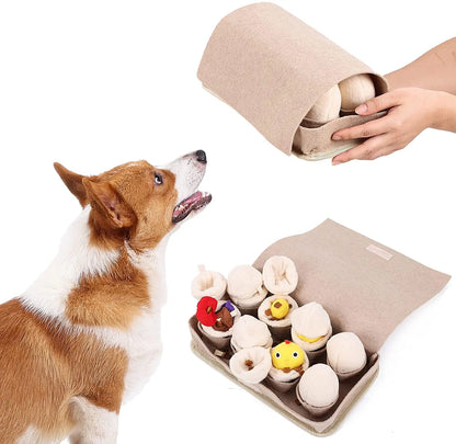 Egg Box Snuffle Toy