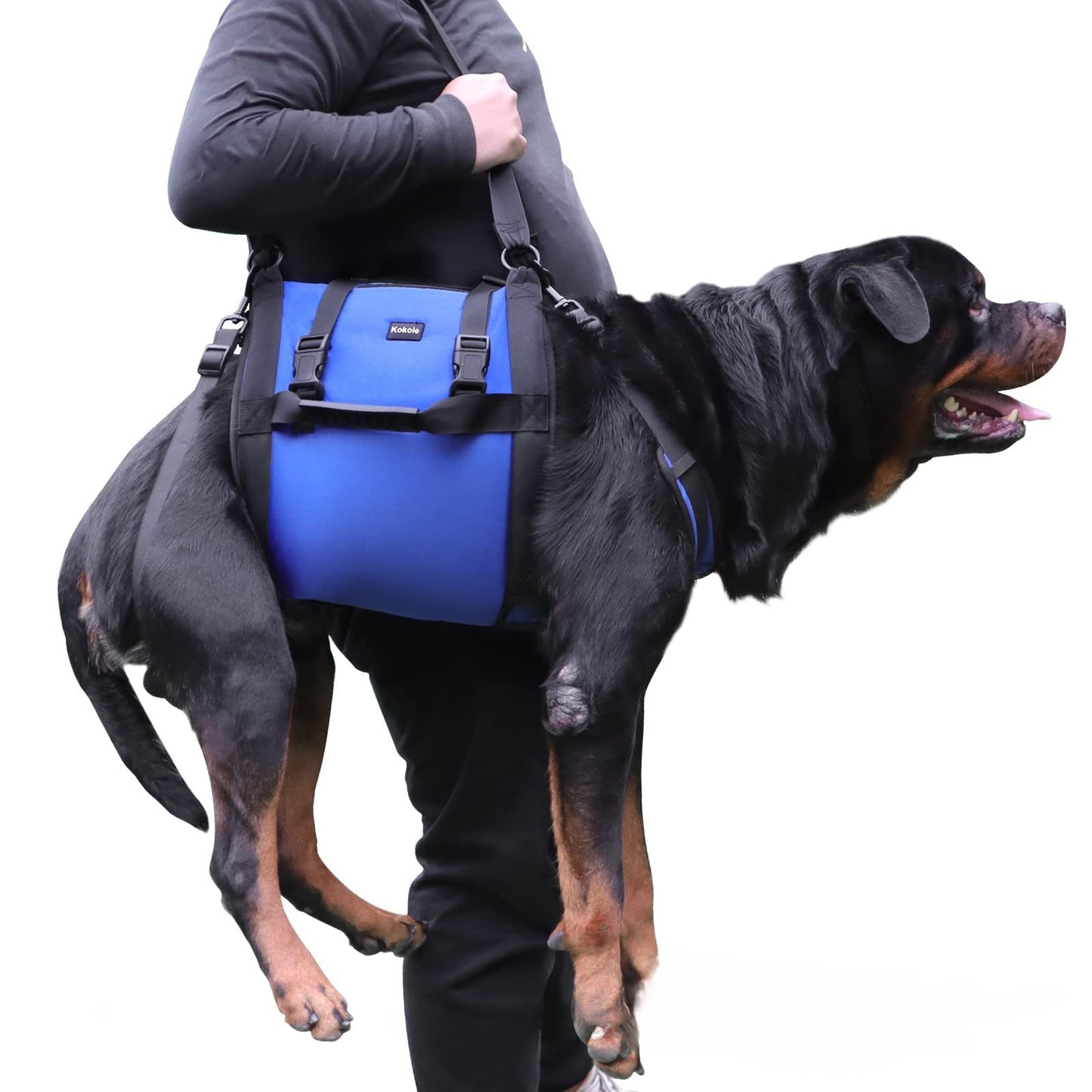 Portable Dog Sling - Chocodogger Blue / M