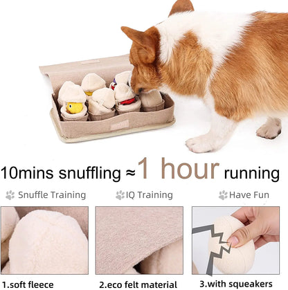 Egg Box Snuffle Toy