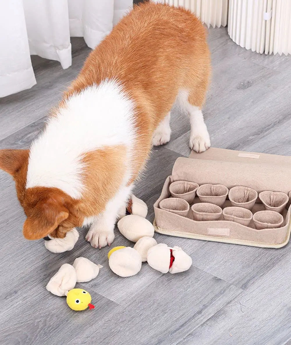 Egg Box Snuffle Toy